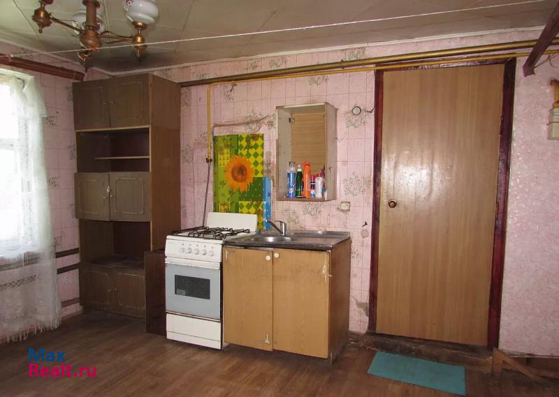 Мичуринск село Турмасово, улица Исакова, 59 продажа частного дома