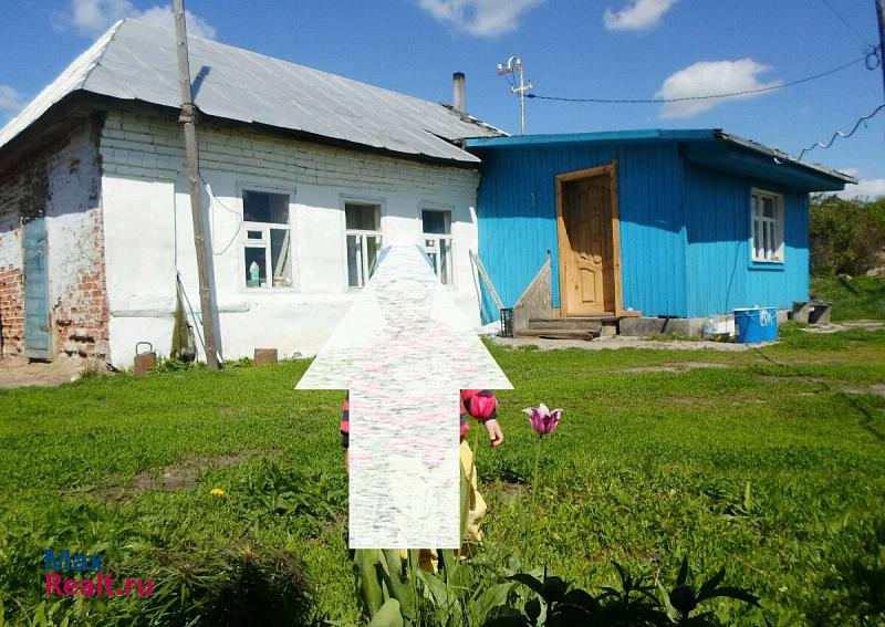 Мичуринск село Ранино продажа частного дома