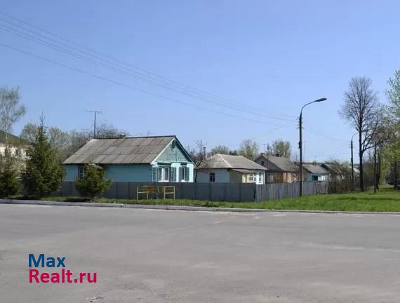 Железногорск Орловская область, село Тросна продажа частного дома