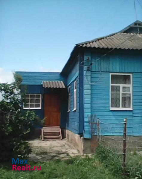Железногорск деревня Мармыжи продажа частного дома