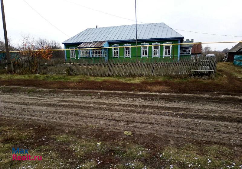 Платоновка село Новгородовка