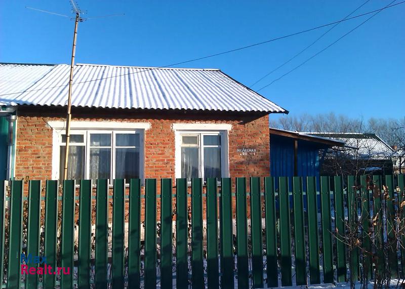 Новомосковск посёлок Пронь, Лесная улица продажа частного дома