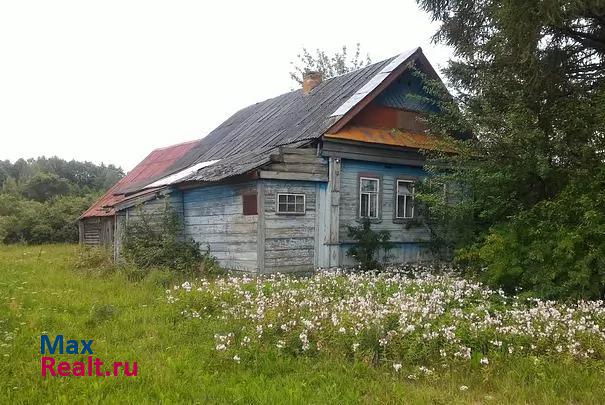 Муромцево деревня Колесня