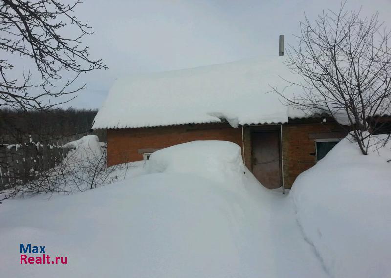 Бугуруслан деревня Карповка, Центральная улица частные дома