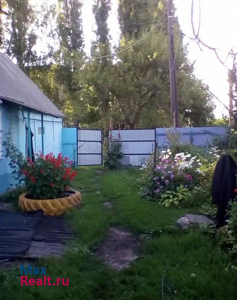 Роговатое Воронежская область, село Синие Липяги продажа частного дома
