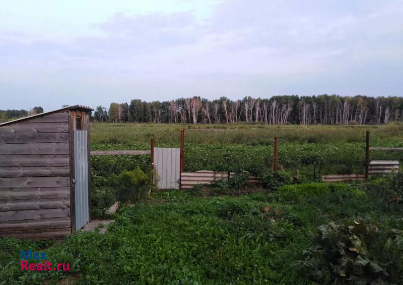 Ишим Ишимский район, село Первопесьяново частные дома