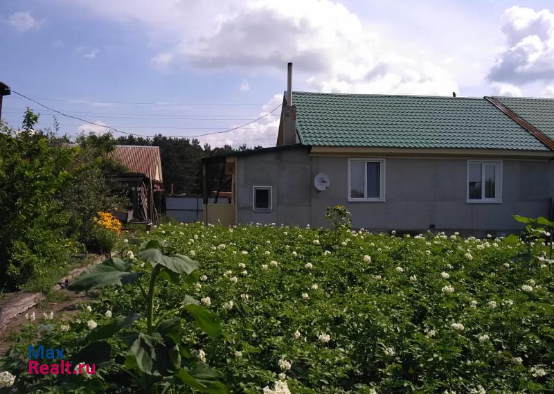 Минусинск село Лугавское, Боровая улица, 4 частные дома