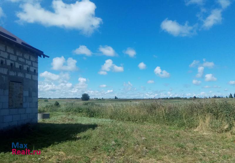 Зеленоградск Зеленоградский городской округ, поселок Рощино, Весёлая улица дом