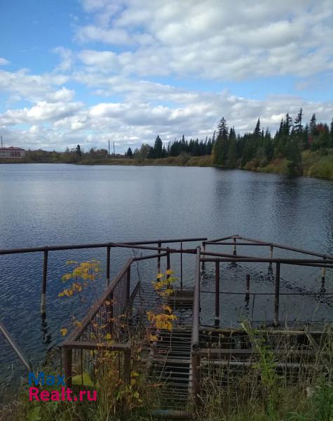 Чернушка село Трушники, Заречная улица дом