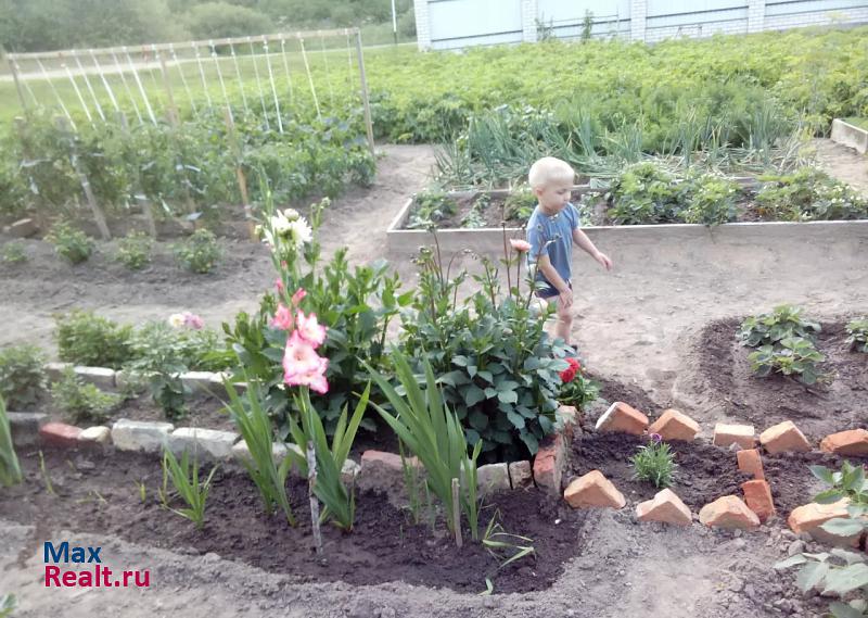 Вязьма деревня Черемушки, микрорайон Русятка частные дома