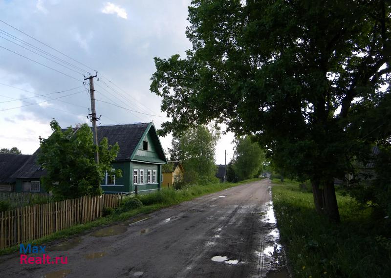 Луга Новгородская область, Батецкий район дом