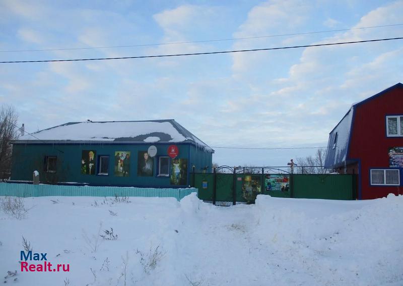 Пугачев село Березово дом