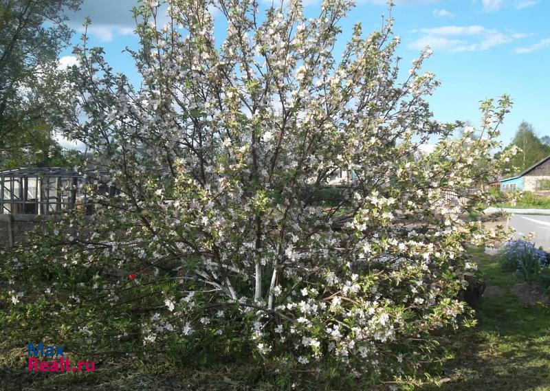 Вязьма село Андрейково, улица Ленина