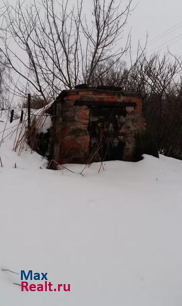 Железногорск деревня Басово частные дома