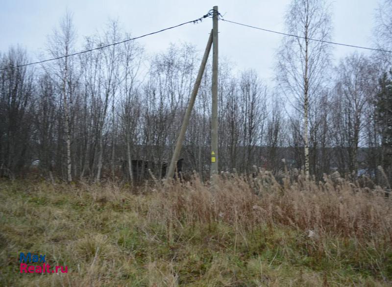 Петрозаводск Прионежский район, деревня Ялгуба частные дома