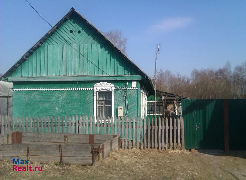 Брянск Нетьинское сельское поселение, деревня Толвинка частные дома