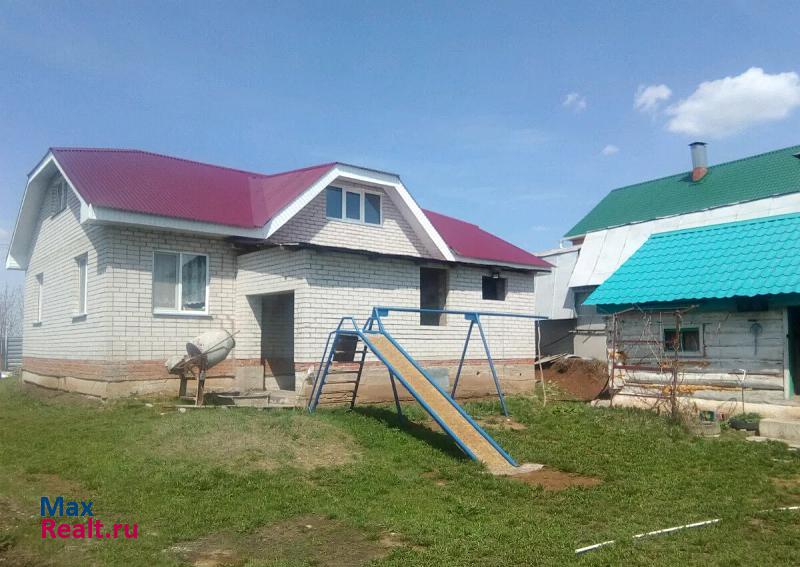 Нижнекамск деревня Новое Минькино частные дома