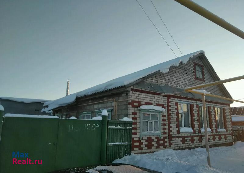 Нижнекамск Нижнекамский район, село Борок частные дома