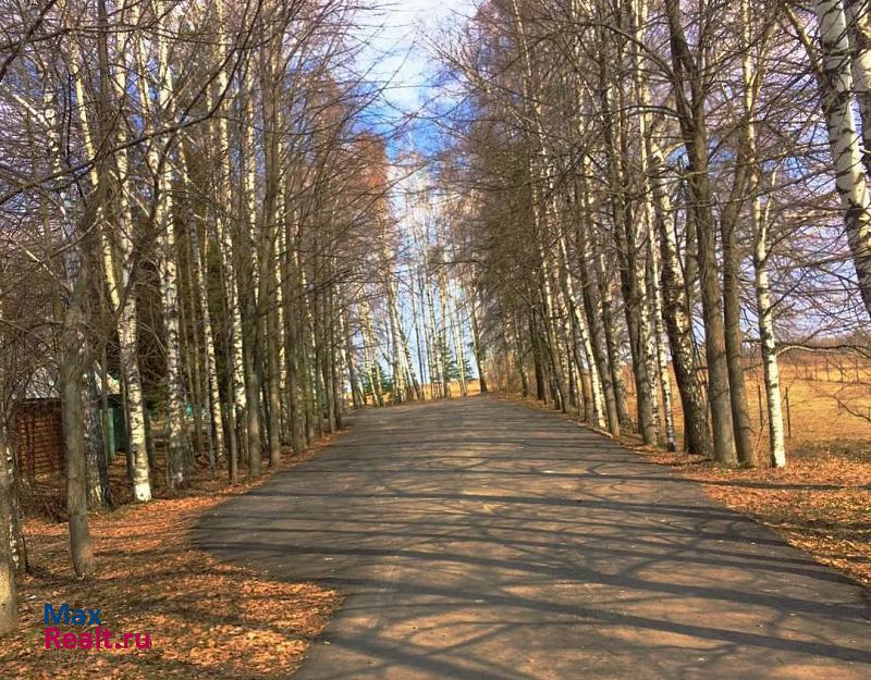 Новосиньково село Турбичево, 20