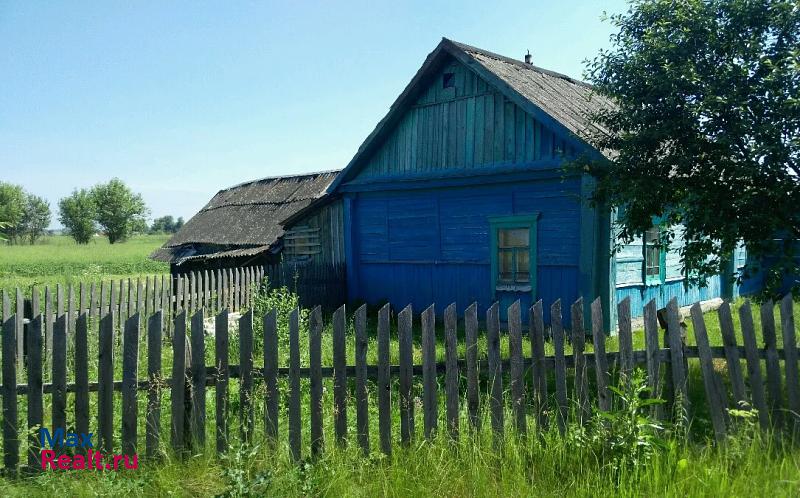 Добрунь Скрябинское сельское поселение, село Палужье, Дорожная улица