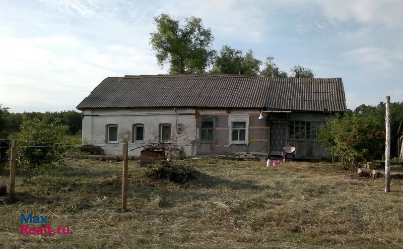 Петровское село Тынково, Центральная улица