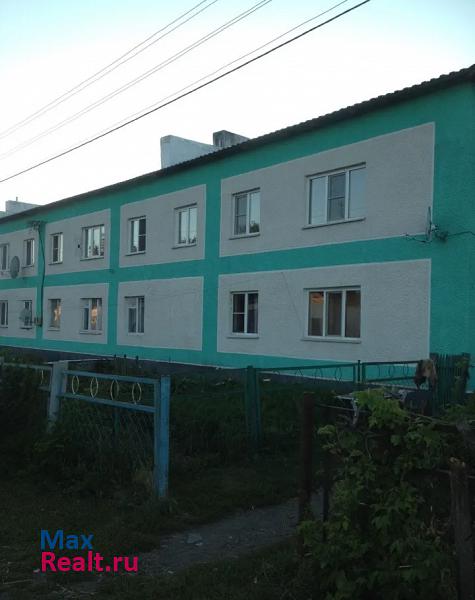 село Фунтики, Юбилейная улица, 27 Топчиха купить квартиру