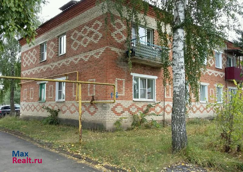 село Вишнёвое, улица Племзавод, 112 Староюрьево купить квартиру