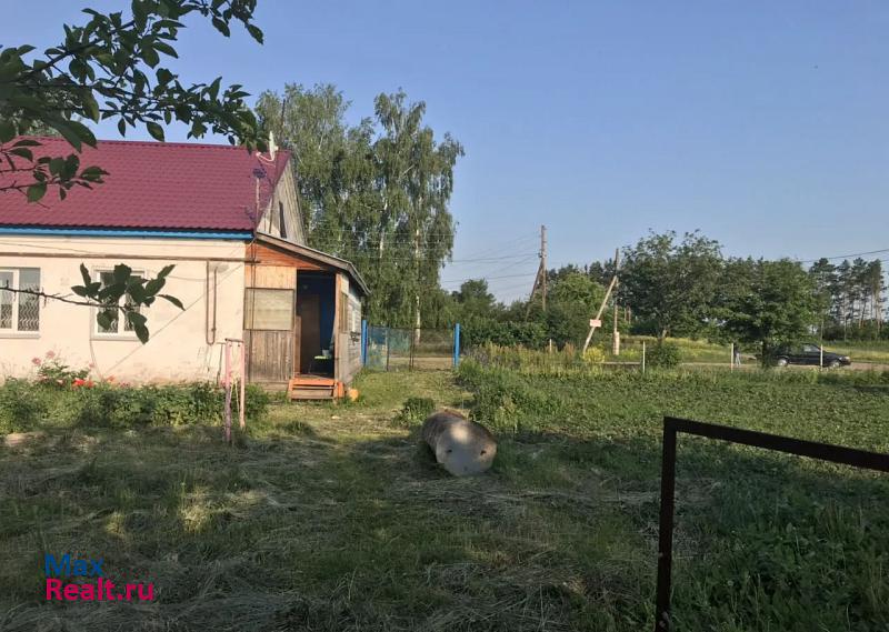 село Кишкино, Юбилейная улица Большое Мурашкино купить квартиру