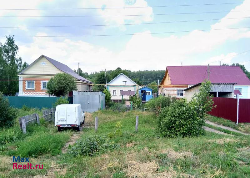 Кочкурово село Горяйновка, Центральная улица, 129