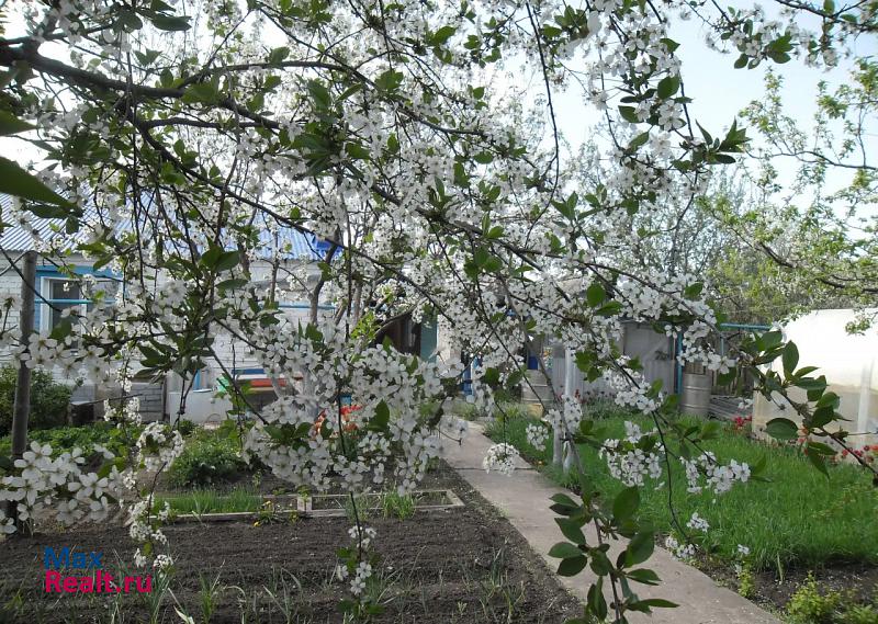 Старая Майна поселок городского типа Старая Майна, Юбилейная улица