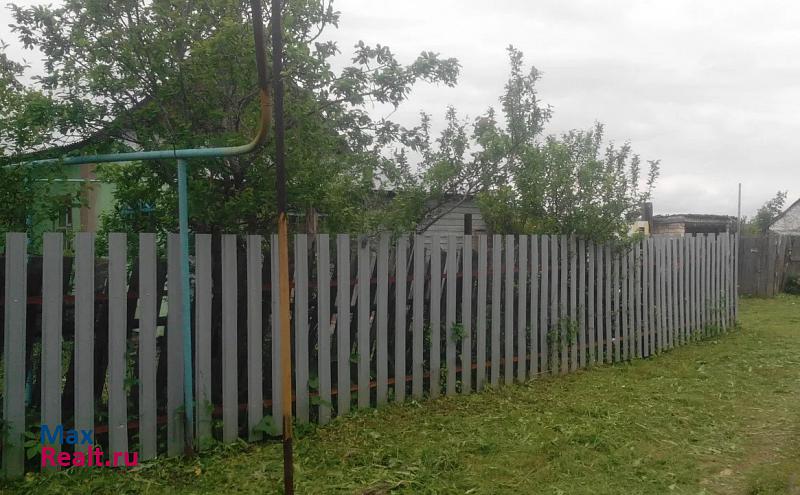 Новосемейкино село Водино
