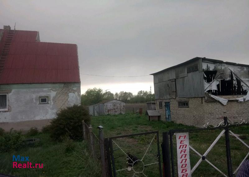 Славск поселок, Славский городской округ, Ясное