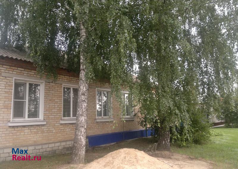 село Репьёвка, улица Мамкина, 82 Репьевка купить квартиру