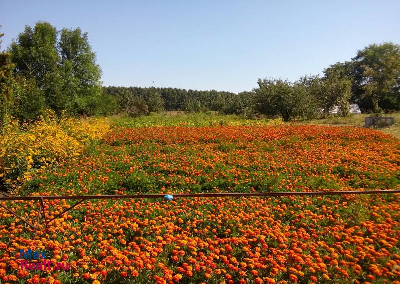 Колодезный село Солонцы, Каширский район, улица Карла Маркса