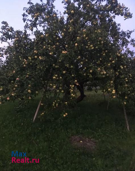 Новый Некоуз село Новый Некоуз, Лесная улица, 4