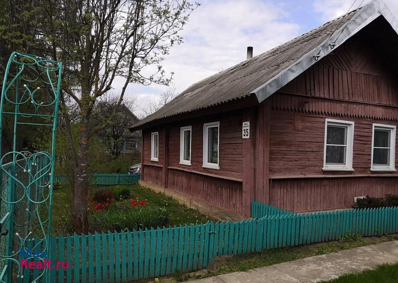 Красногородск посёлок городского типа Красногородск, Набережная улица, 35