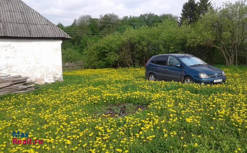 Дубна деревня Надеждино, Центральная улица