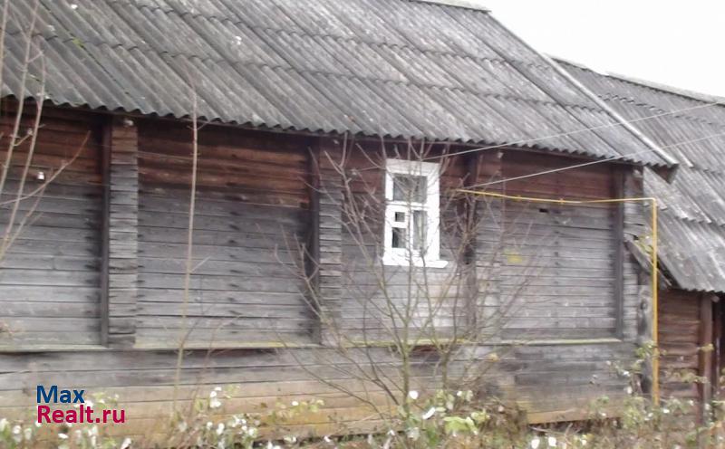 Великий Новгород Новгородская область Крестецкий район д. старое Рахино