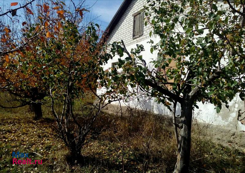 Горняк муниципальное образование Георгиевский сельсовет, село Георгиевка, Комсомольская улица