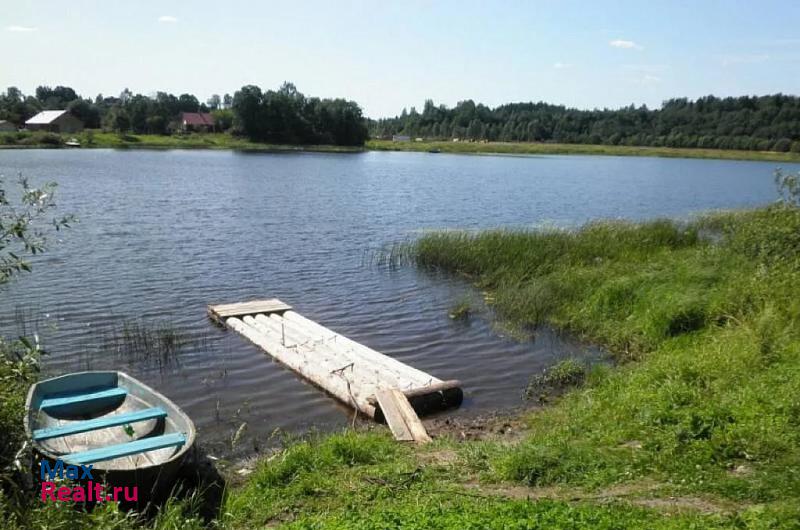 Сясьстрой Колчановское сельское поселение, деревня Реброво, Центральная улица