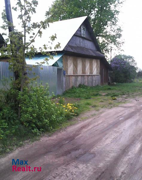 Торопец деревня Ольховка