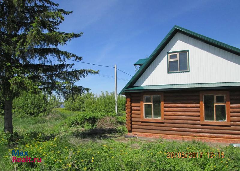 Алексеевское Алексеевский район, Деревня Городок, ул. Центральная, дом 1