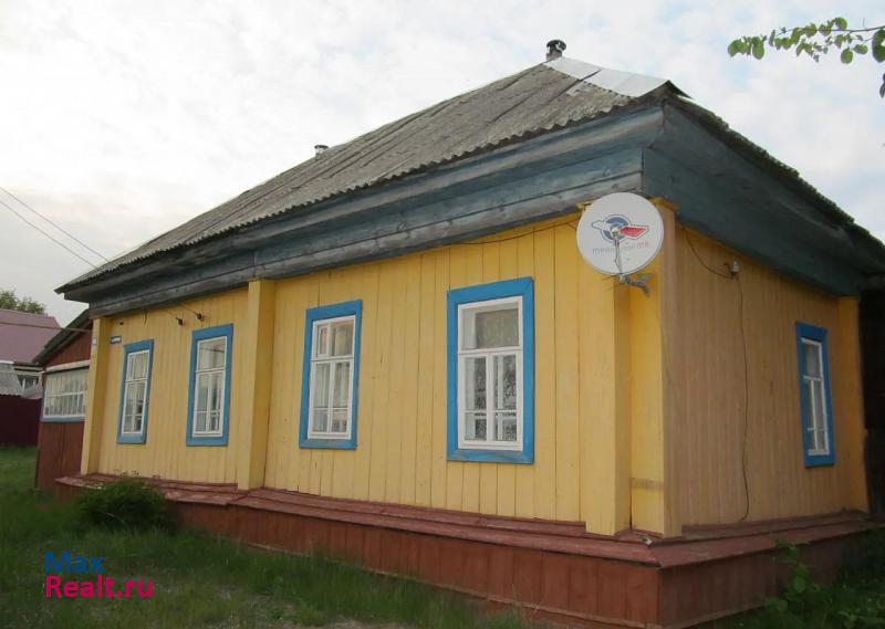 Краснослободск село Старое Синдрово