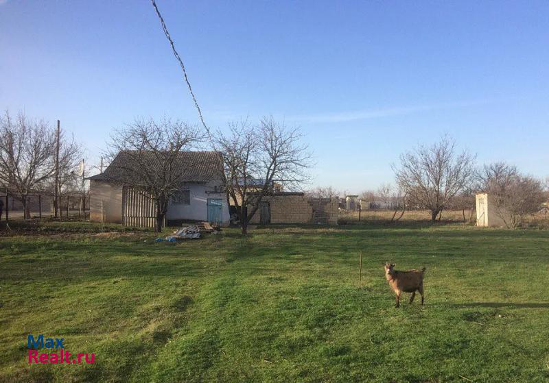 Белогорск село Васильевка, Виноградная улица