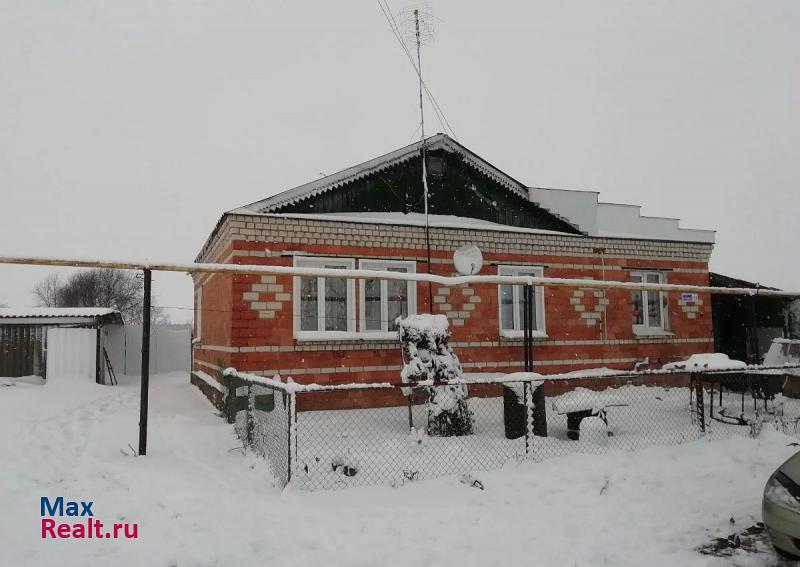 Лукоянов село Новосёлки