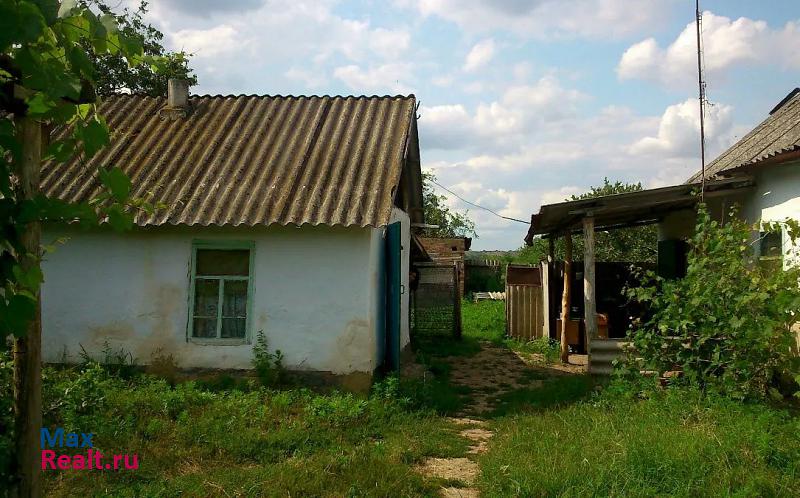 Ладожская хутор Новосёловка