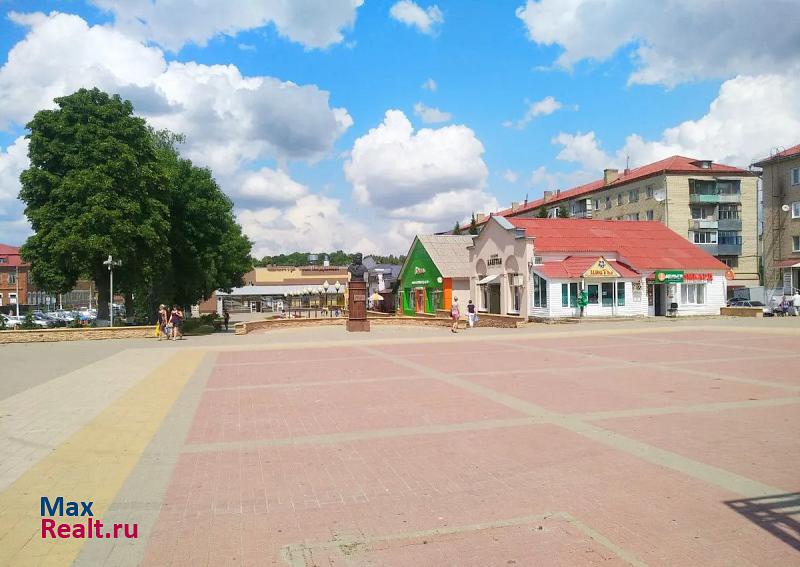 посёлок городского типа Борисовка Борисовка купить квартиру