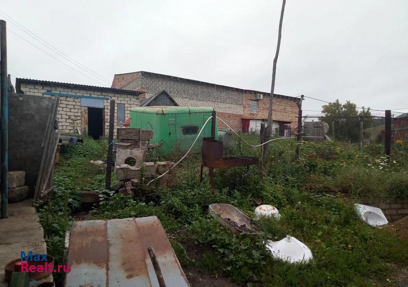 Бавлы село Александровка