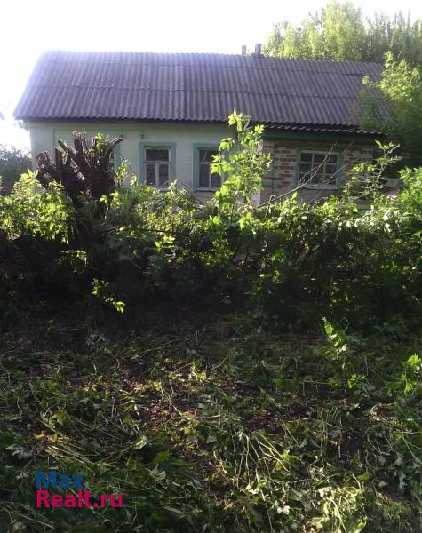купить частный дом Ефремов деревня Каланчиновка