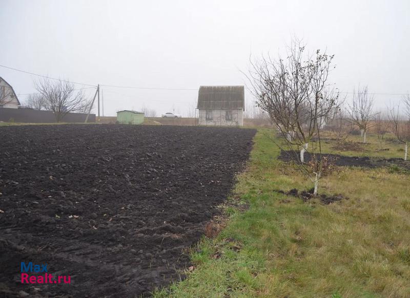 Курчатов посёлок городского типа Иванино